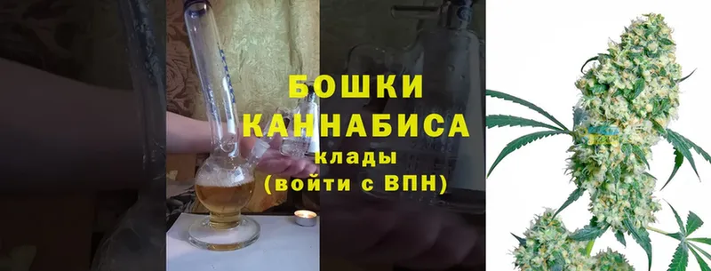 Канабис White Widow  Каневская 